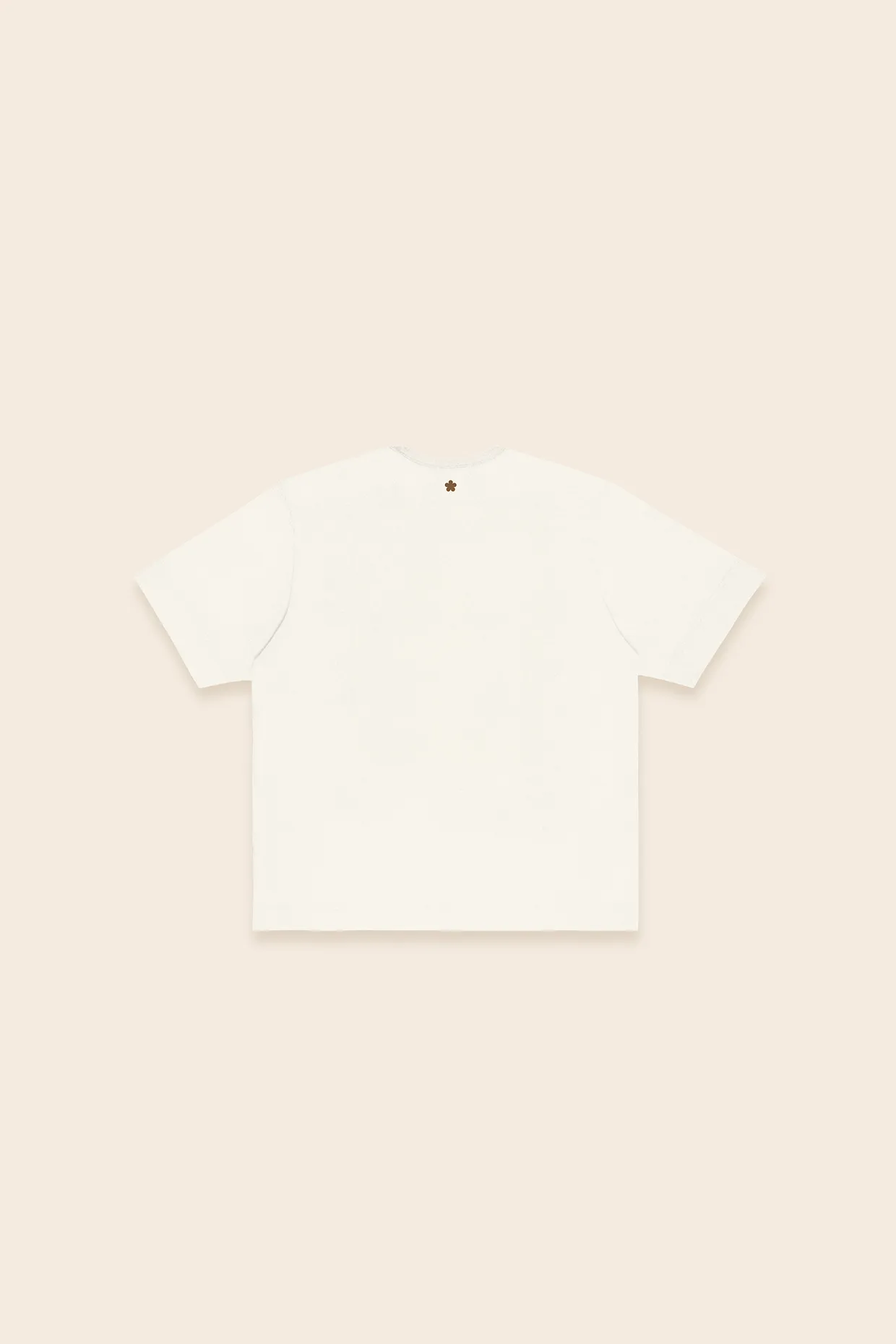 salsa t