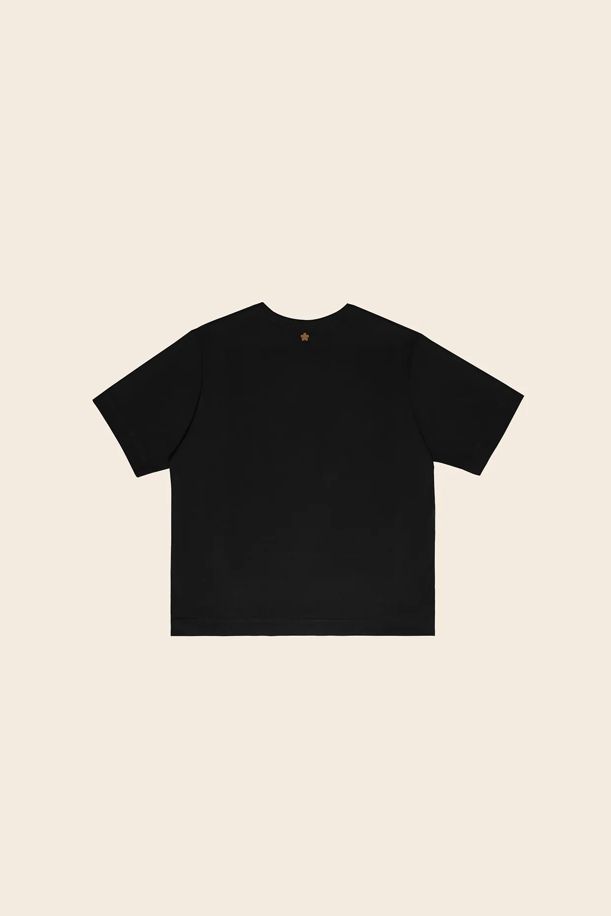 salsa t
