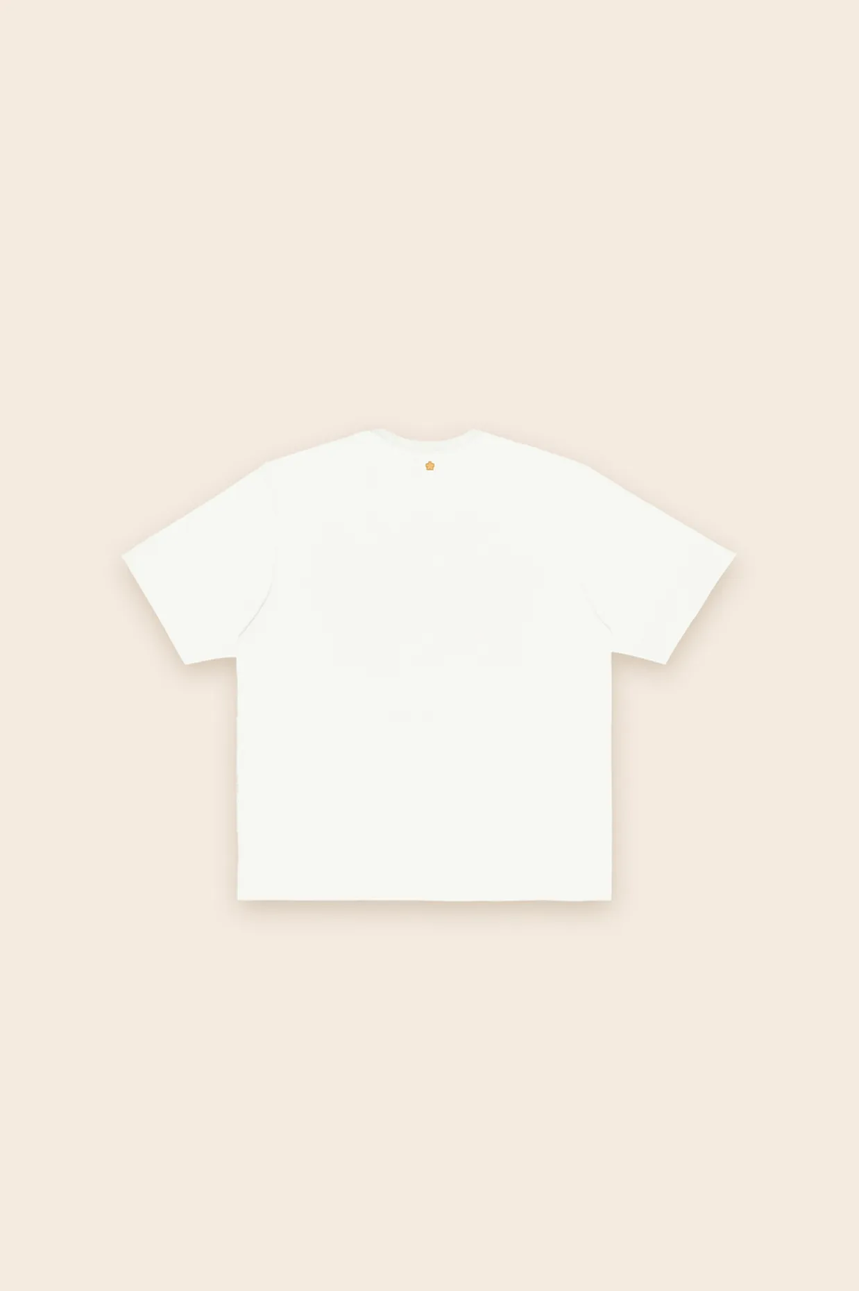 fortune cookie t