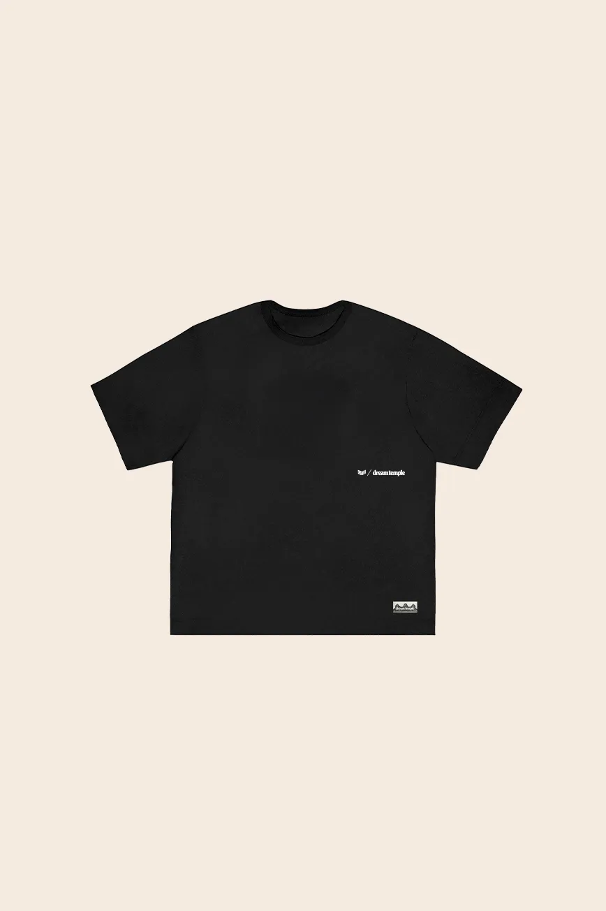 btc “we are all satoshi” t
